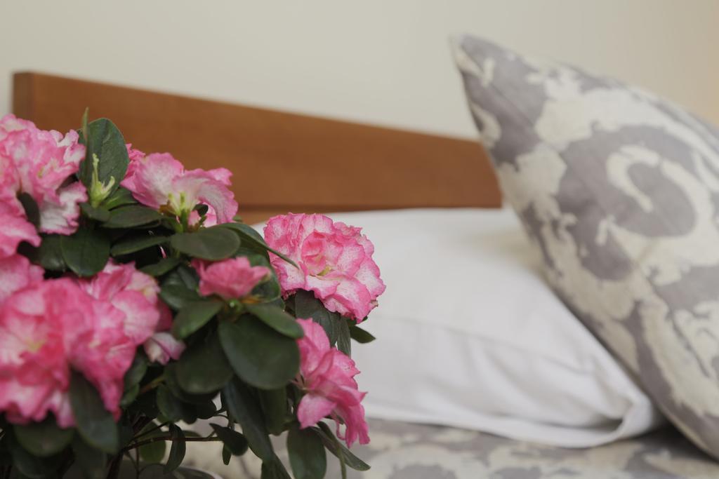 Accommodation Tara Belgrad Exterior foto